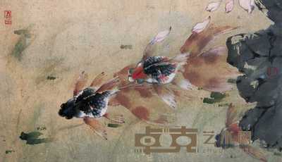 赵少昂 金鱼 镜心 27×48cm